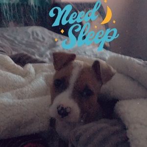 Meet your Posher, Labrina